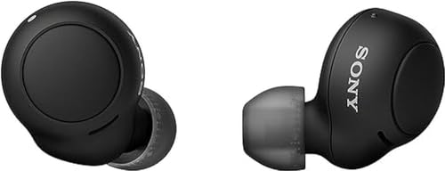 Sony WF-C500 Wireless In-Ear Headphones with Charging Case Built-In Mic Bluetooth Up to 20 Hours Battery and Voice Assistant Compatible (Midnight Black)
